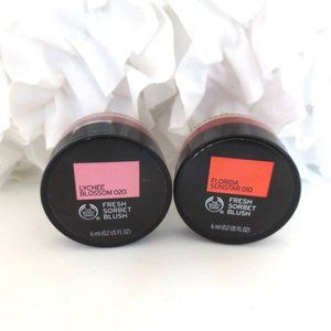 NEW THE BODY SHOP FRESH SORBET BLUSH # 010/ # 020 LOT OF 2